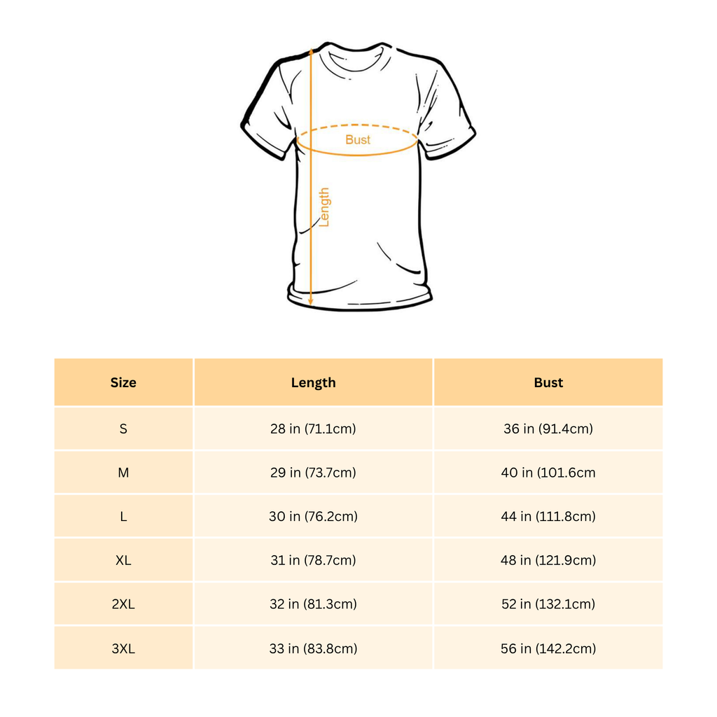 Vintage Country Music-Inspired T-Shirt – ’69 and the Boys Graphic Western Shirt, Retro Unisex Tee