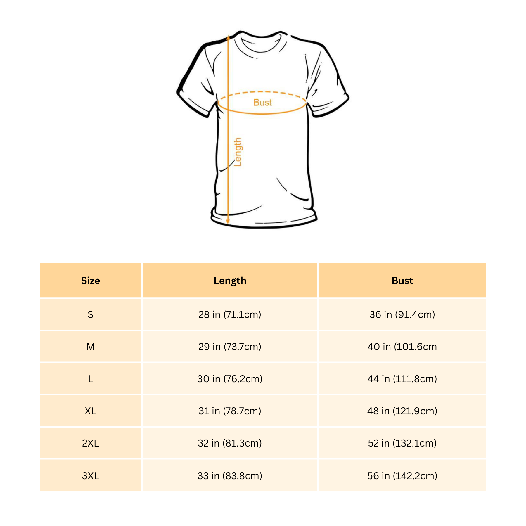 Vintage Country Music-Inspired T-Shirt – ’69 and the Boys Graphic Western Shirt, Retro Unisex Tee
